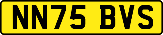 NN75BVS