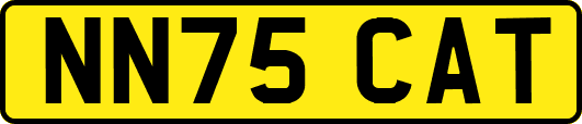 NN75CAT