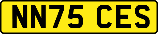 NN75CES