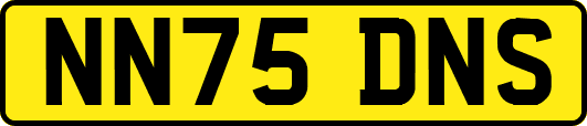 NN75DNS