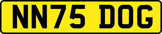 NN75DOG