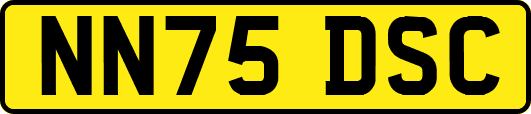 NN75DSC