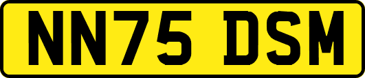 NN75DSM