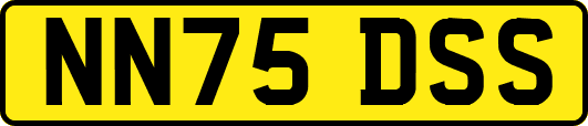 NN75DSS