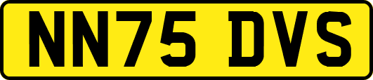 NN75DVS