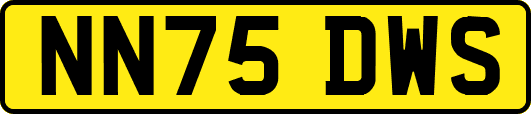 NN75DWS