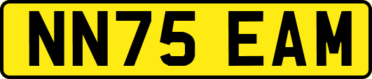 NN75EAM