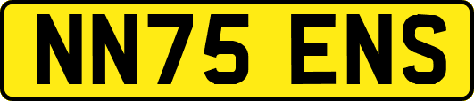 NN75ENS