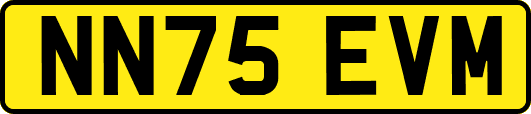 NN75EVM