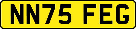 NN75FEG