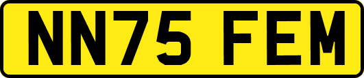 NN75FEM