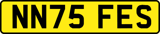 NN75FES