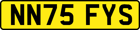 NN75FYS