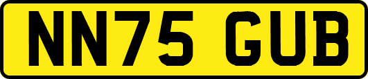NN75GUB