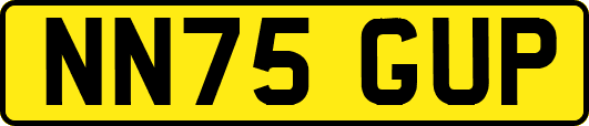 NN75GUP