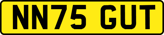 NN75GUT