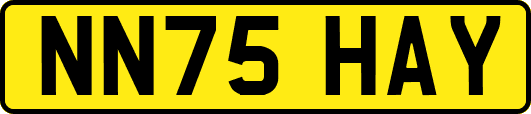 NN75HAY