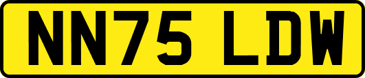 NN75LDW