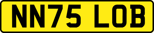 NN75LOB