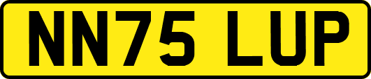 NN75LUP