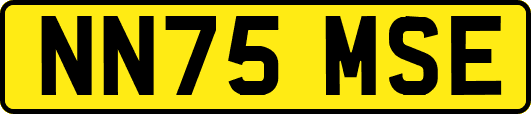 NN75MSE