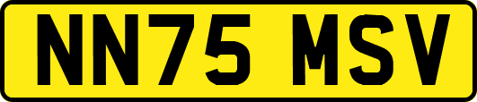 NN75MSV