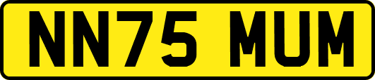 NN75MUM