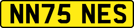 NN75NES