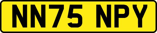 NN75NPY