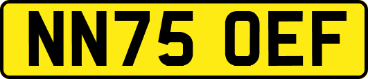 NN75OEF