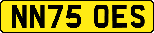 NN75OES