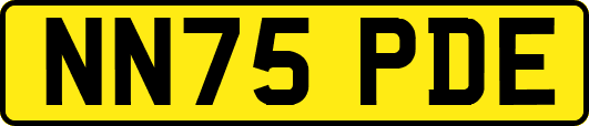 NN75PDE