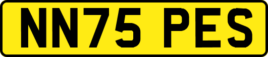 NN75PES