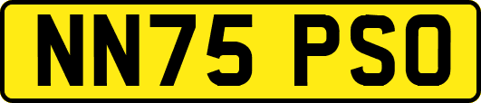 NN75PSO