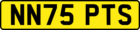 NN75PTS