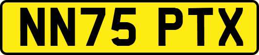 NN75PTX