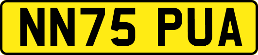 NN75PUA