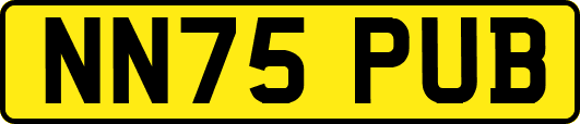 NN75PUB