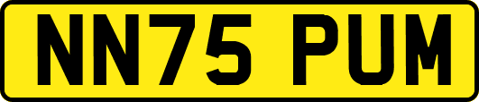 NN75PUM