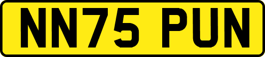 NN75PUN