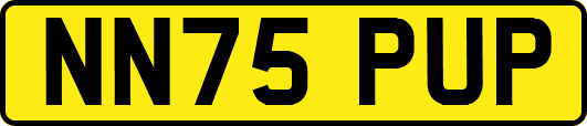 NN75PUP