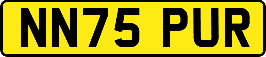 NN75PUR