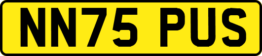 NN75PUS