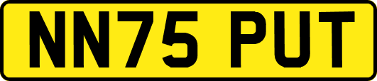 NN75PUT