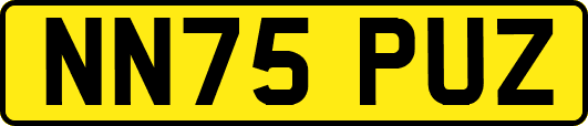NN75PUZ