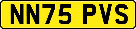 NN75PVS