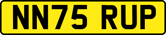 NN75RUP