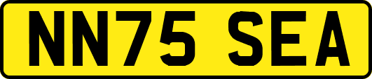 NN75SEA