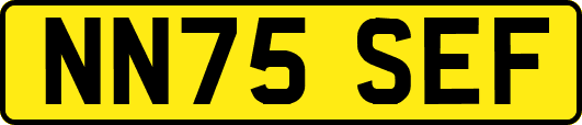 NN75SEF