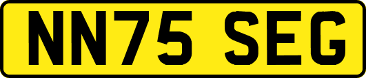 NN75SEG